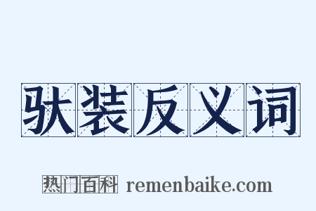驮装反义词是什么意思的图片